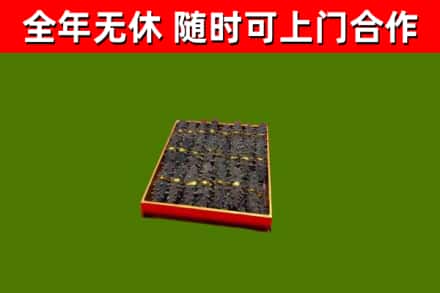 珠山回收海参